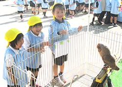 ミニ動物園