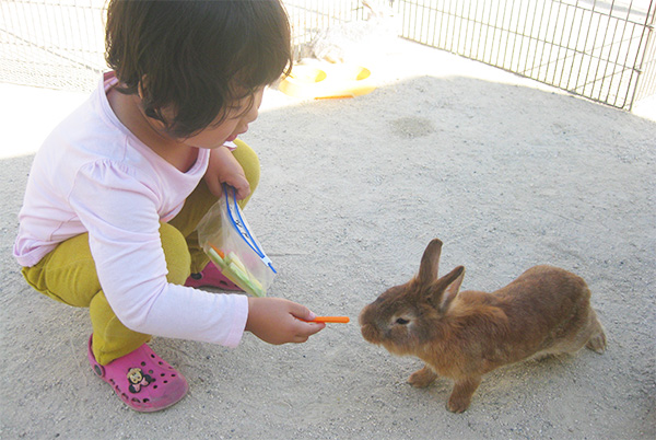 ミニどうぶつえん